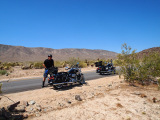 Motorcyclist and Harley Davidson Road King in Joshua Tree National Park