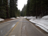 Sequoia National park with snow on the motorcycle road
