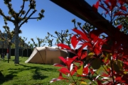 Camping el Solsones - Alcañiz