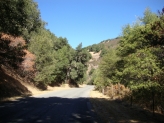 Carmel valley