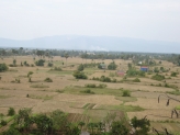 Fields in Cambodia