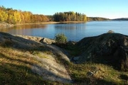 Svensk skov sø som oftes
