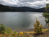 Catskills Reservoir Dogs