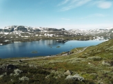 Tuddal - Røldal over Hardangervidda