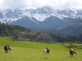 Tour Cerdanya-Conflent