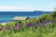 Øen Hjelm set fra Kobberhage