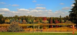 Morton Arboretum & Fox River Run