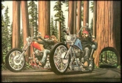 Motorcykler foran skov