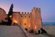 Castell de Montsonís